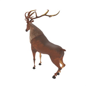 Original Deer View 2